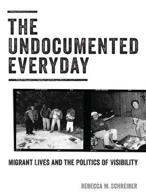 cover image of The Undocumented Everyday